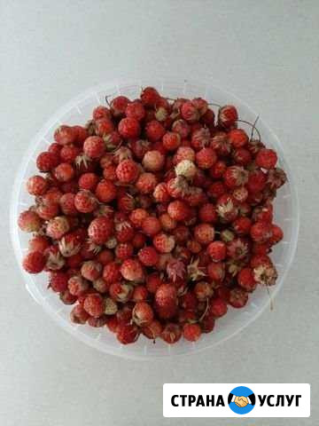 Клубника Ижевск - изображение 1