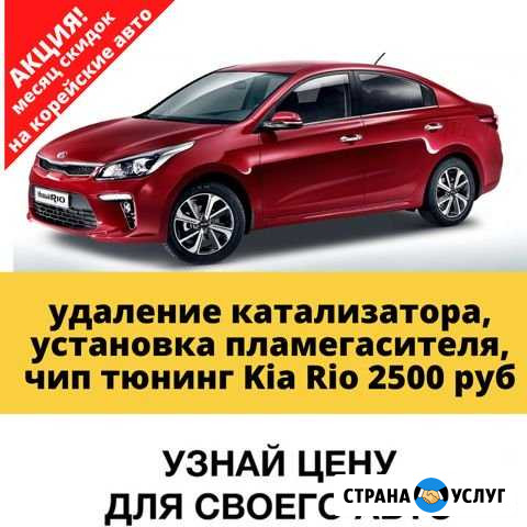 Удаление катализатора, чип тюнинг Сибай - изображение 1