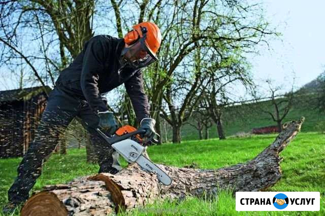 Покос травы, спил деревьев Саки - изображение 1