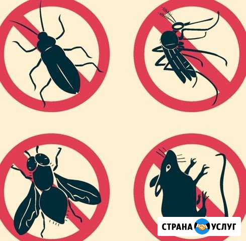 Уничтожение насекомых,тараканов,клопов,блох Ярославль - изображение 1