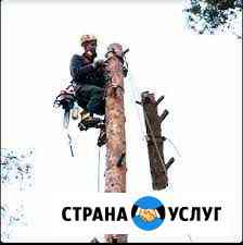 Спил деревьев,корчевка пней,слом строений,вывоз Таганрог