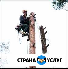 Спил деревьев,корчевка пней,слом строений,вывоз Таганрог - изображение 1