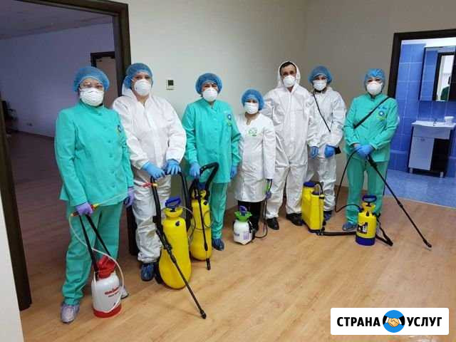 Дезинсекция, дезинфекция, дератизация Оренбург - изображение 1
