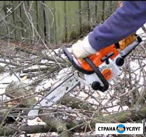 Спил деревьев Новокубанск - изображение 1