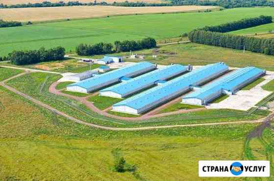 Строительство агропромышленных комплексов под ключ Чебоксары