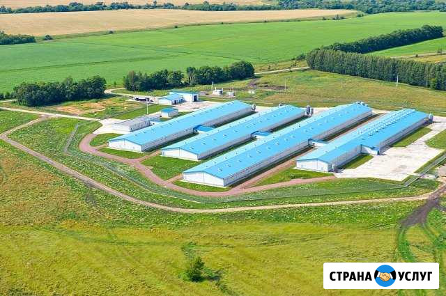 Строительство агропромышленных комплексов под ключ Чебоксары - изображение 1