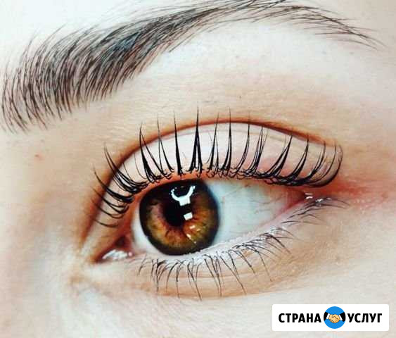 Ботокс ламинирование ресничек Кострома - изображение 1