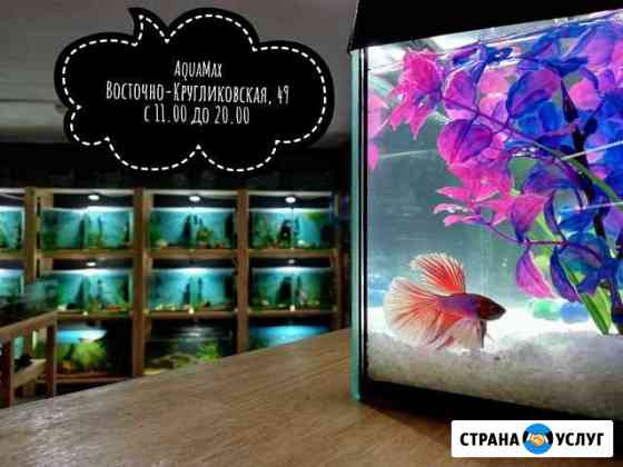 Аквадизайн Краснодар