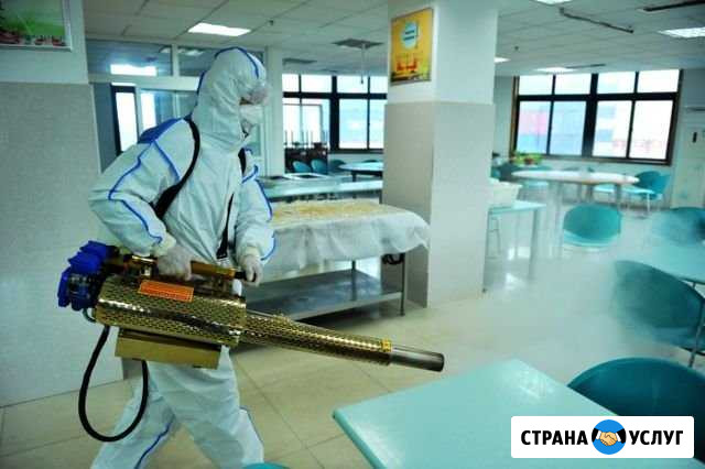 Дезинфекция помещений Новый Уренгой - изображение 1