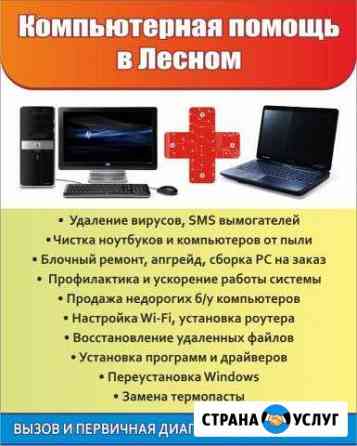 Компьютерная помощь в Лесном Лесной