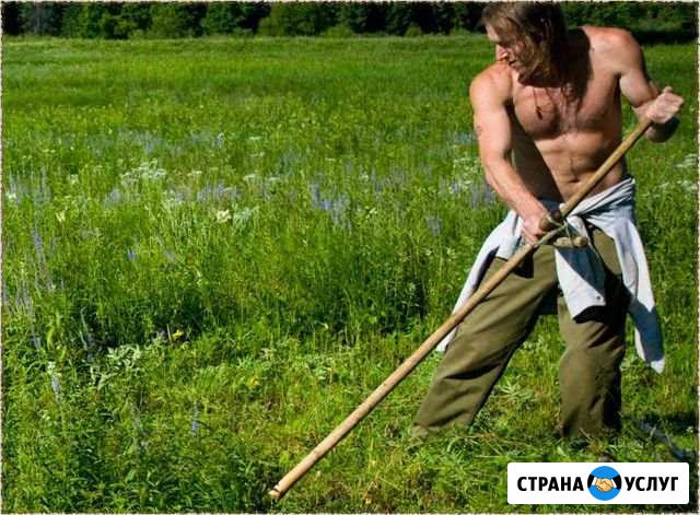 Покос. Вспашка Калининград - изображение 1