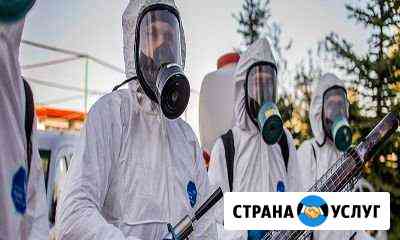 Уничтожение клопов, тараканов, кротов. Казань Казань
