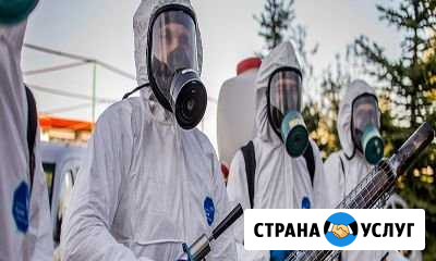 Уничтожение клопов, тараканов, кротов. Казань Казань - изображение 1