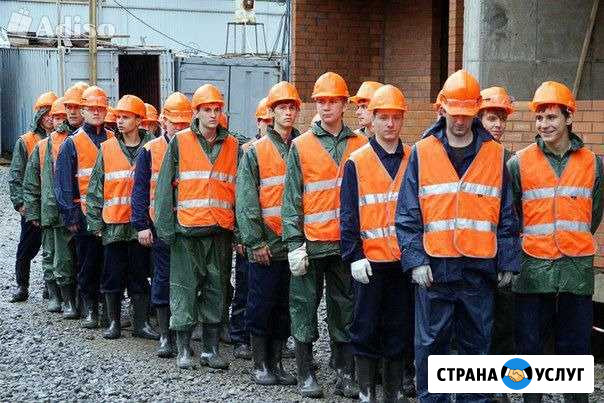 Разнорабочие Ломоносов - изображение 1