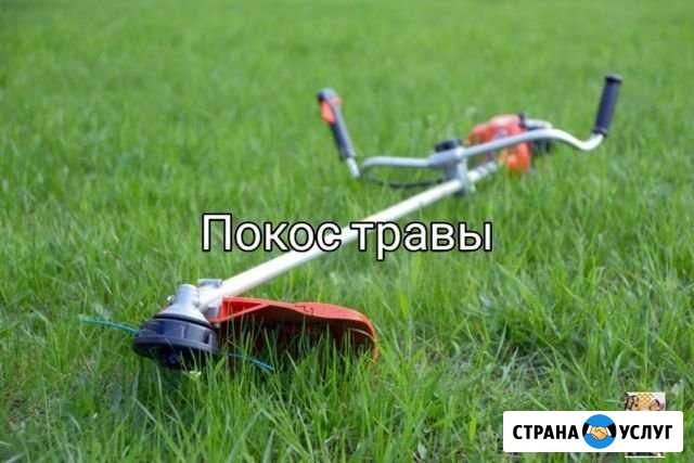 Покос и уборка травы Брюховецкая - изображение 1