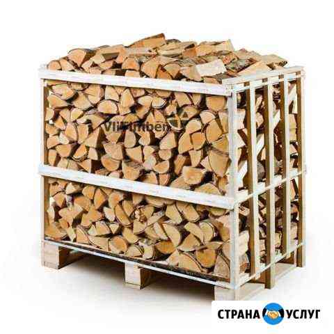 Дрова осина Чистополь