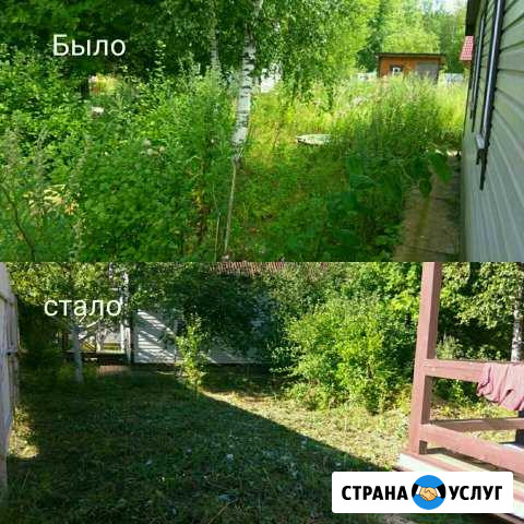 Подготовка к продаже, покос травы, спил деревьев Обнинск - изображение 1