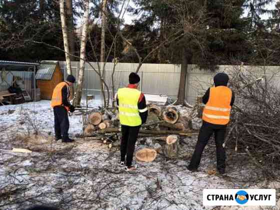Разнорабочие и специалисты Королев