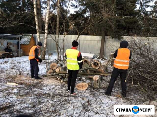 Разнорабочие и специалисты Королев - изображение 1