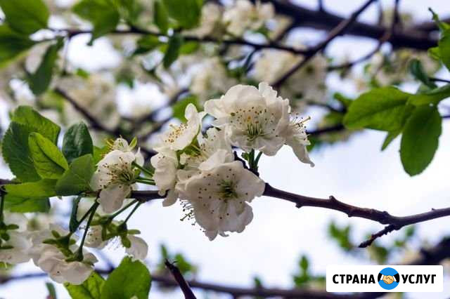 Кадастровый инженер Межевание Технические планы Москва - изображение 1