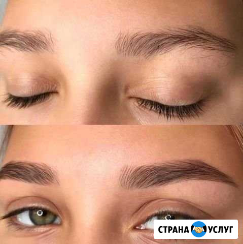 Окрашивание бровей Мурманск - изображение 1