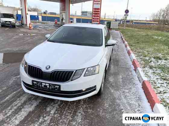 Аренда Skoda Octavia на автомате, VW Polo газ Санкт-Петербург