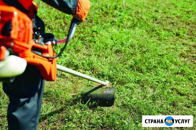 Покос травы бензотримером Старый Оскол - изображение 1
