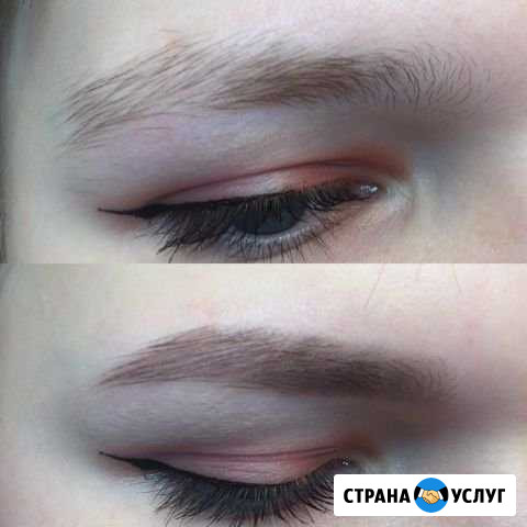 Бровист Липецк - изображение 1