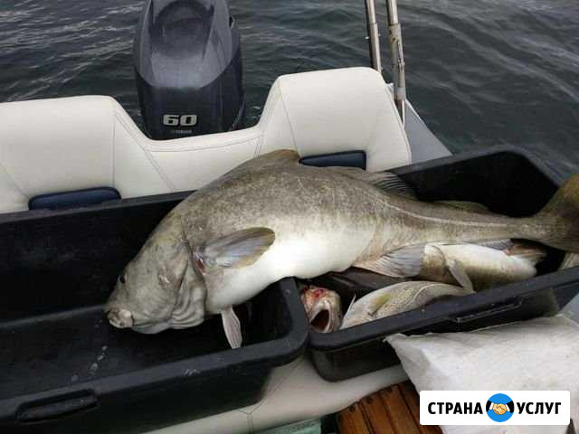 Морская рыбалка в Баренцевом море Марфино - изображение 1