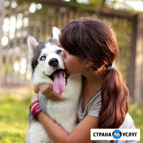 Передержка животных Барнаул - изображение 1