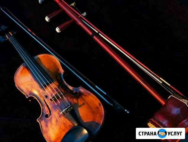 Репетитор,педагог по скрипке, эрху, сольфеджио Видное - изображение 1
