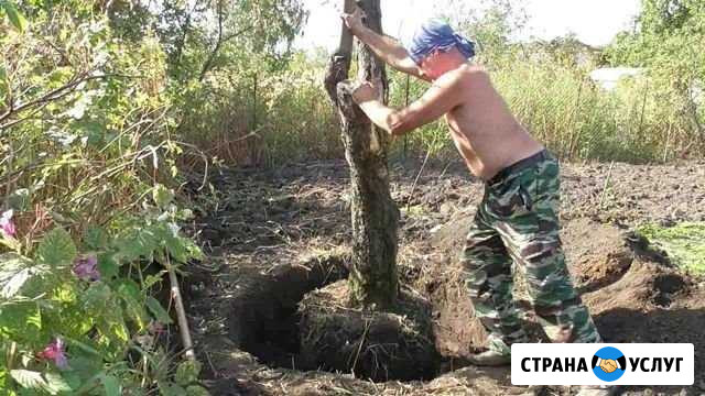 Расчистка участков Сочи - изображение 1