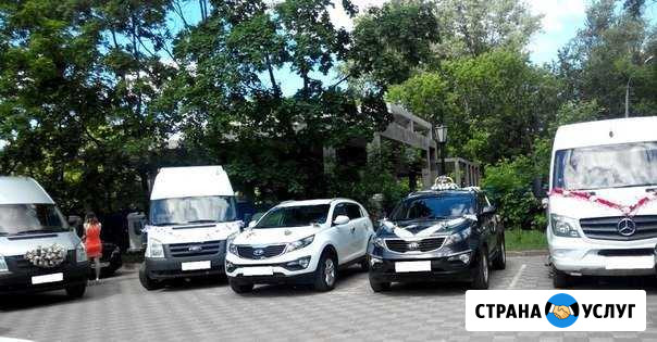 Микроавтобусы, машины на свадьбу. Аренда Нижний Новгород - изображение 1