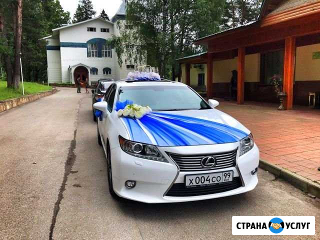 Свадьбы, трансферы в аэропорты Переславль-Залесский - изображение 1