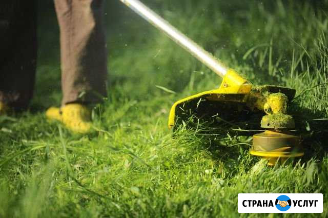 Покос травы Бензотриммером Кузнецк - изображение 1