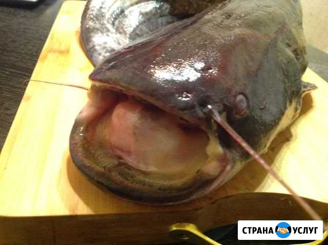 Доставка рыбы и рыбной продукции Москва - изображение 1