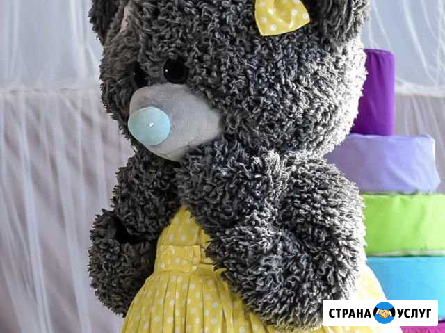 Костюм аниматора, ростовая кукла teddy Красноярск - изображение 1