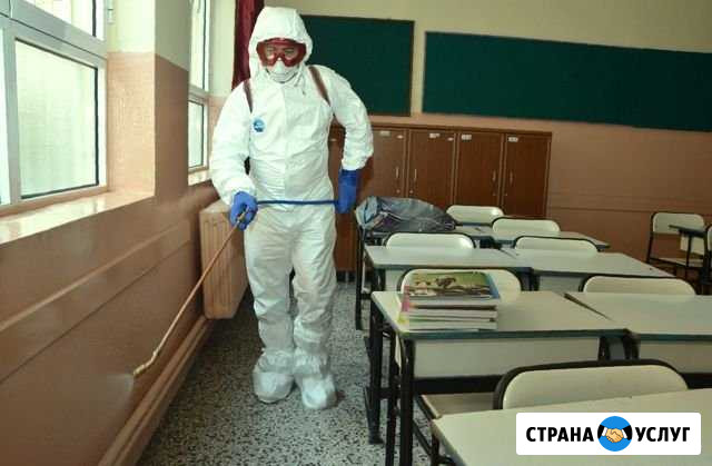Дератизация, дезинфекция, дезинсекция Тверь - изображение 1