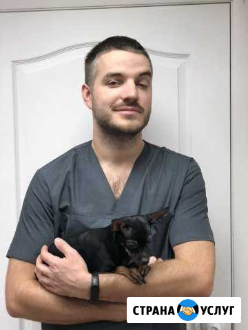Ветеринарный врач на дом Казань - изображение 1