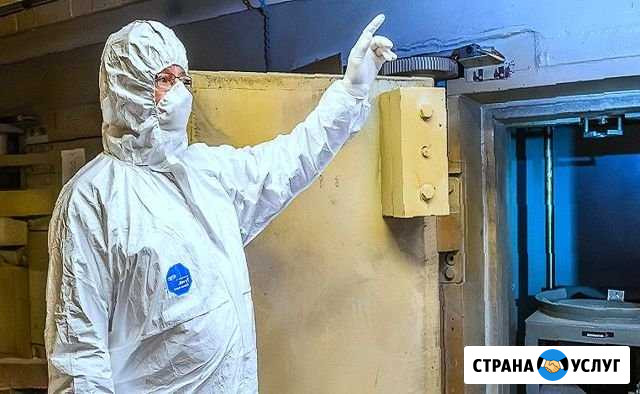 Дезинфекция, избавление от плесени мышей насекомых Жуковский - изображение 1