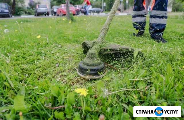 Покос травы. Спил деревьев Смоленск - изображение 1