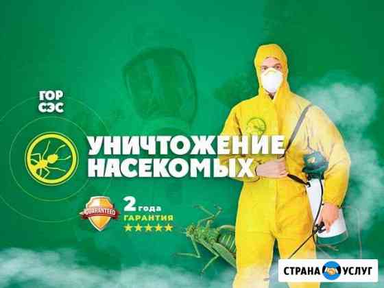 Уничтожение клопов тараканов гарантия Ленинск-Кузнецкий