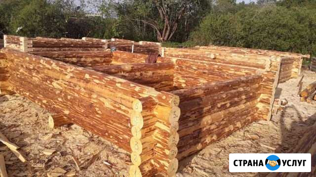 Срубы бань и т.д Боровичи - изображение 1