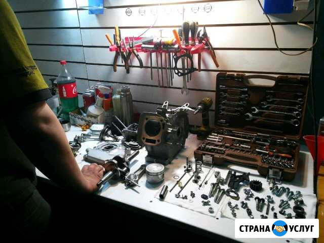 Продажа и Ремонт бензопил / бензокос / культиватор Владимир - изображение 1