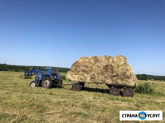 Сено в рулонах Толбазы - изображение 1