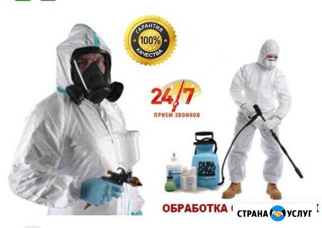 Обработка от насекомых Новороссийск - изображение 1
