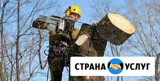 Спил деревьев Кемерово - изображение 1