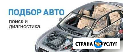 Эксперт по осмотру автомобиля. Автоподбор. Помощь Семенов - изображение 1