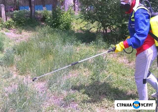 Обработка садовых участков от вредителей Челябинск - изображение 1