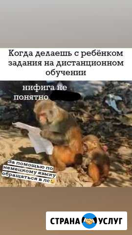 Репетитор по немецкому, французскому языку Пенза - изображение 1